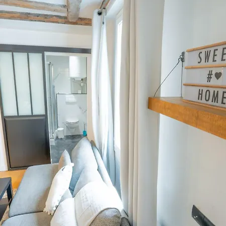 Appartement Grand Loft Bien Equipe A 15 - 2p *